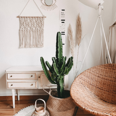 Bedroom with a cactus, wicker chair and artwork on the walls