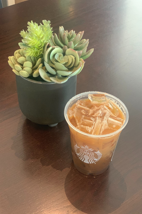 Starbucks drink next to a potted succulent