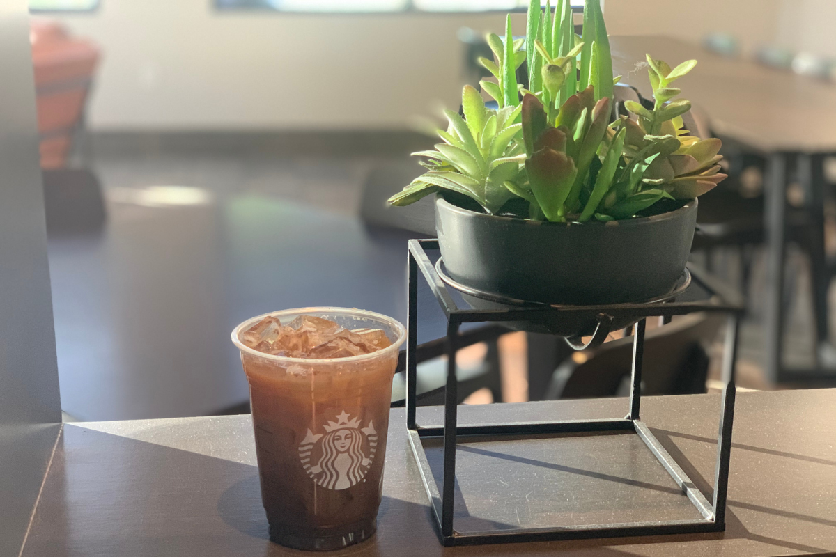 Starbucks drink next to a potted succulent