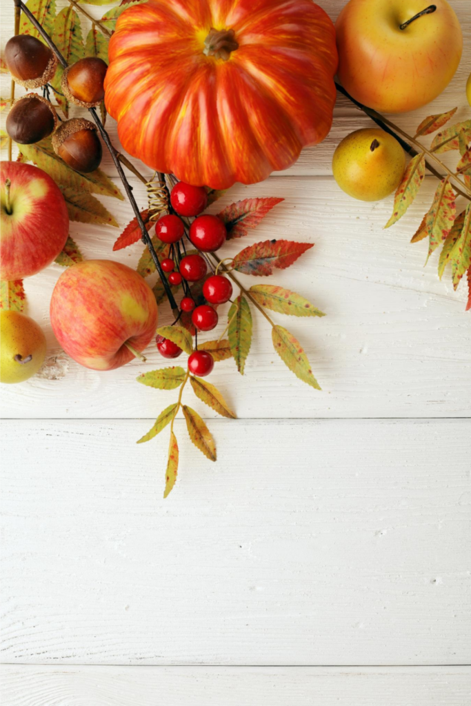 Easy Fall Crafts & Decor Ideas