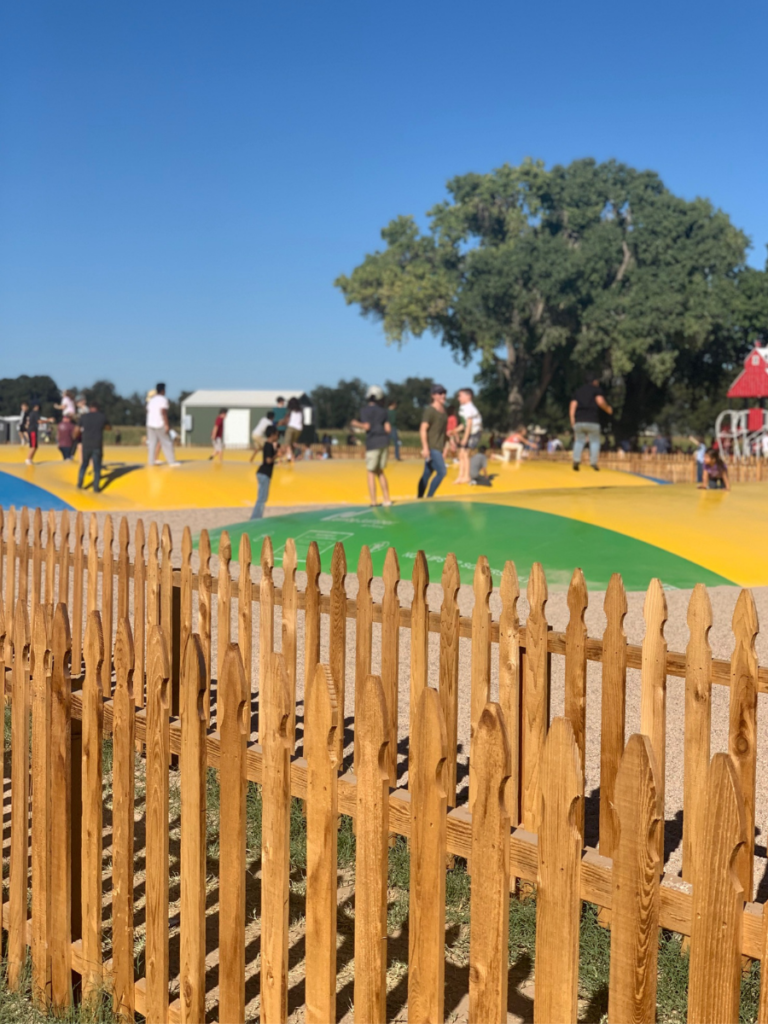 Fall in Tucson: Marana Pumpkin Patch