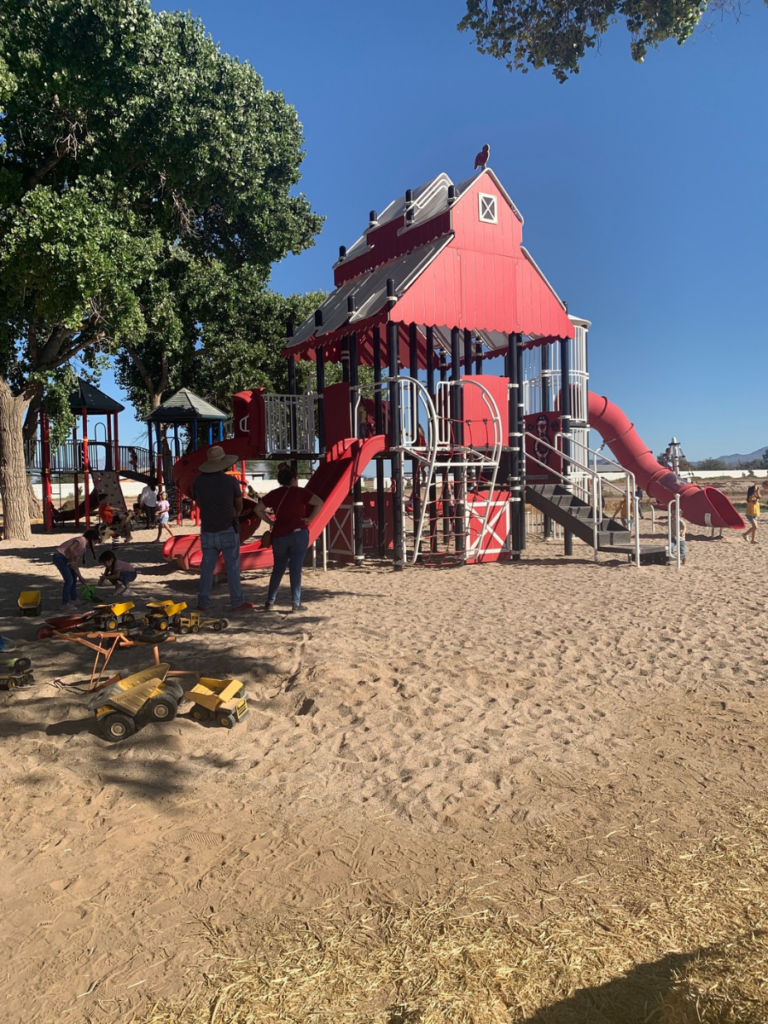 Fall in Tucson: Marana Pumpkin Patch