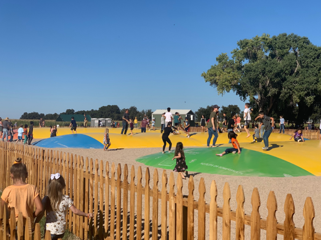 Fall in Tucson: Marana Pumpkin Patch