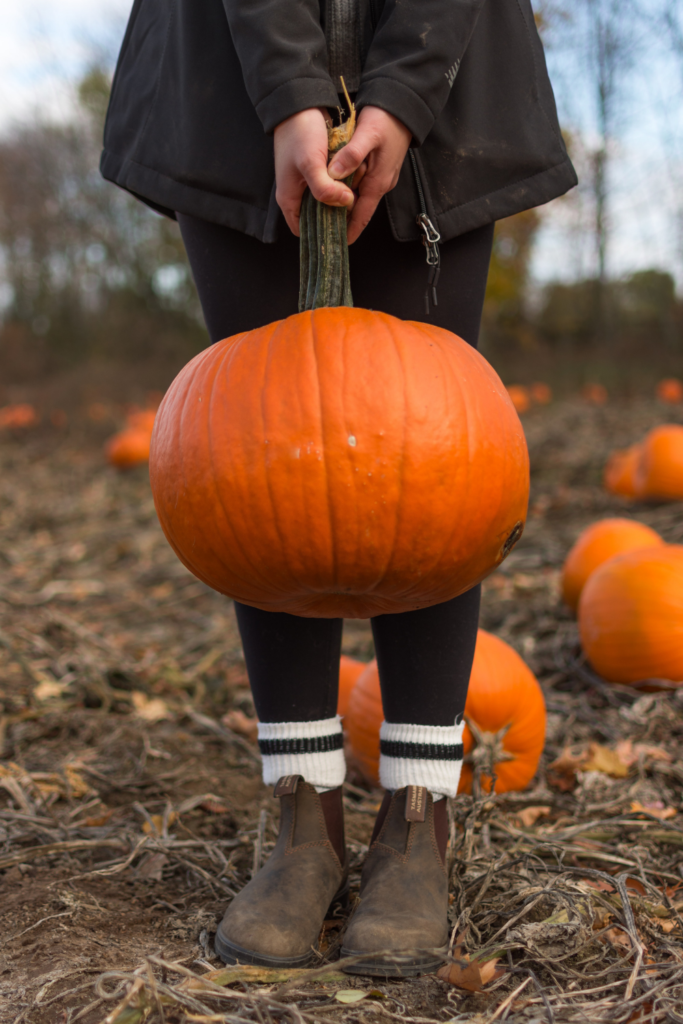 Girl holding a pumpkin