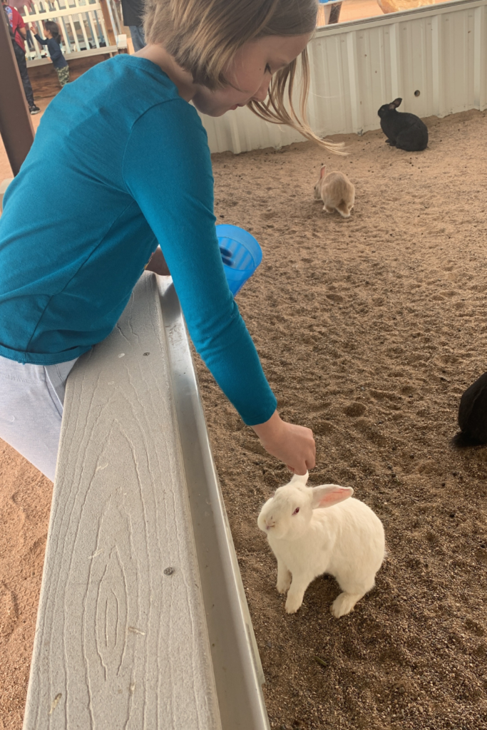 My daughter bending over a wall to feed a white bunny some food