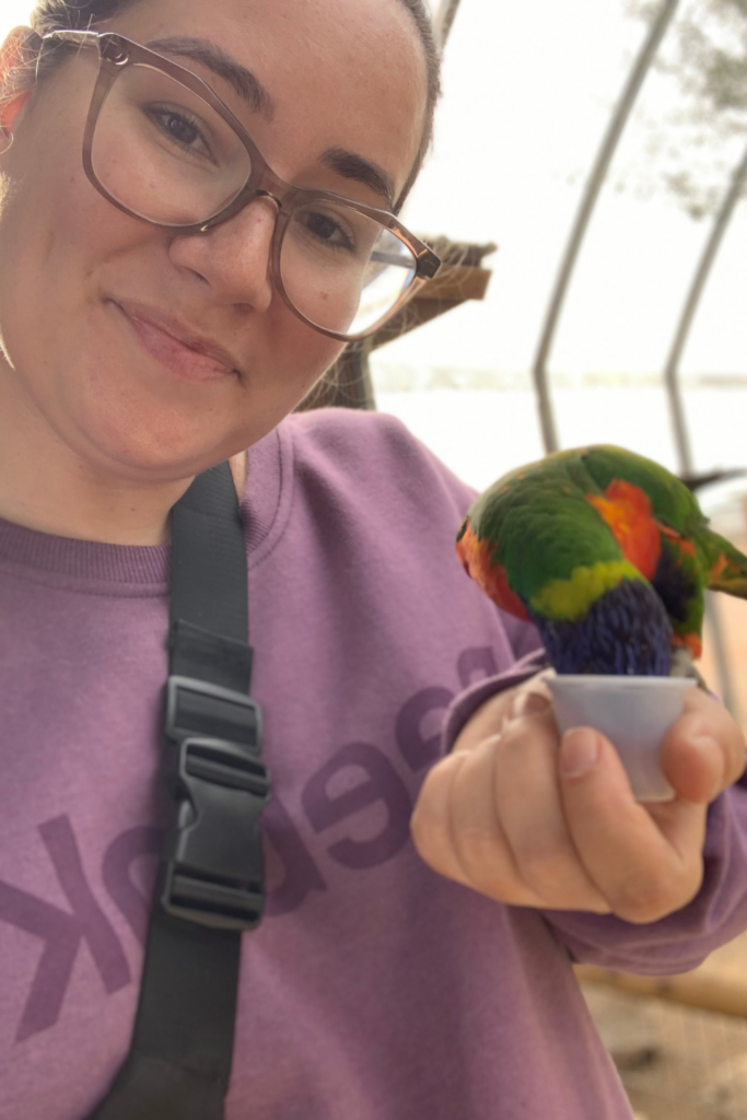 Holding a blue, green and orange Lorikeet with a cup of food in my hand, wearing a purple sweater