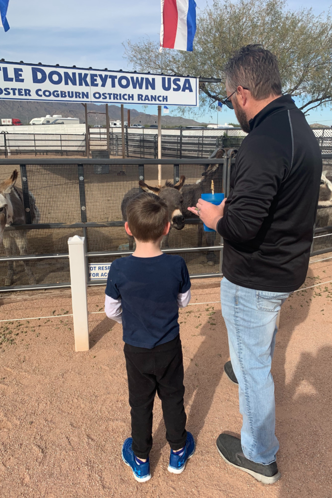 My son and husband standing behind a fence feeding donkeys