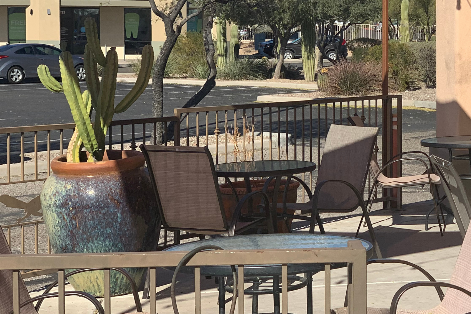 Outdoor seating with chairs and a cactus