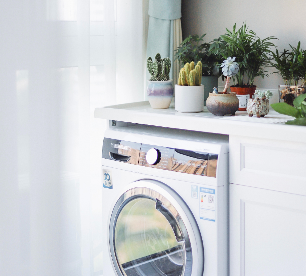 Washing machine with green plants and catcus on top