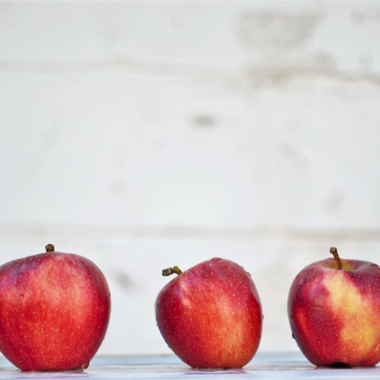 Back-To-School Lunch Ideas for Kids